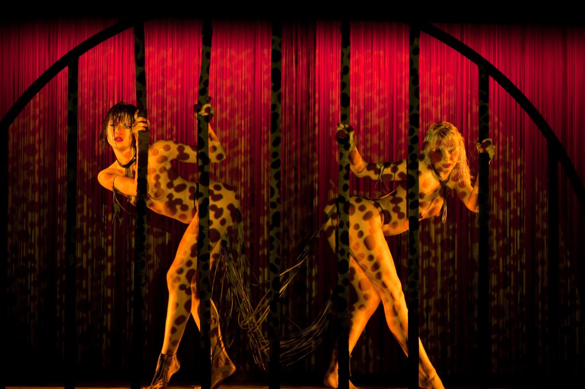 AntoinePoupel©Dynasty