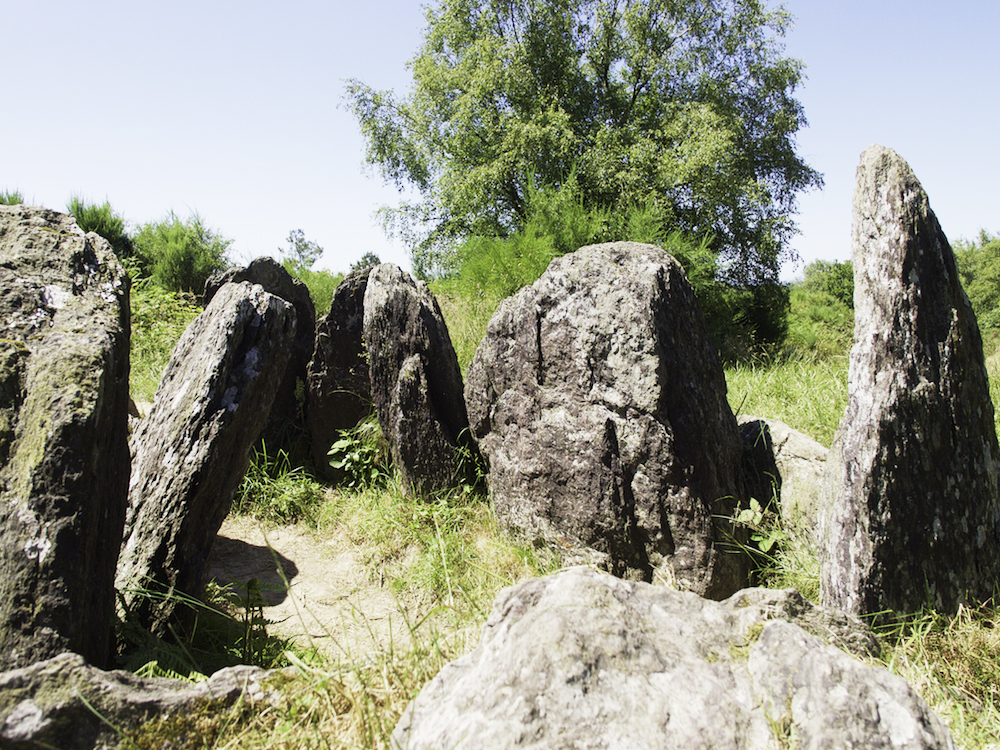 menhirs, standing stones in Brittany, Paimpont and Broceliande forest