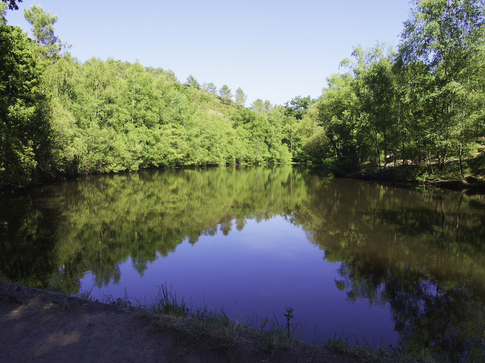 the door of secrets Paimpont, Merlin in Brittany 