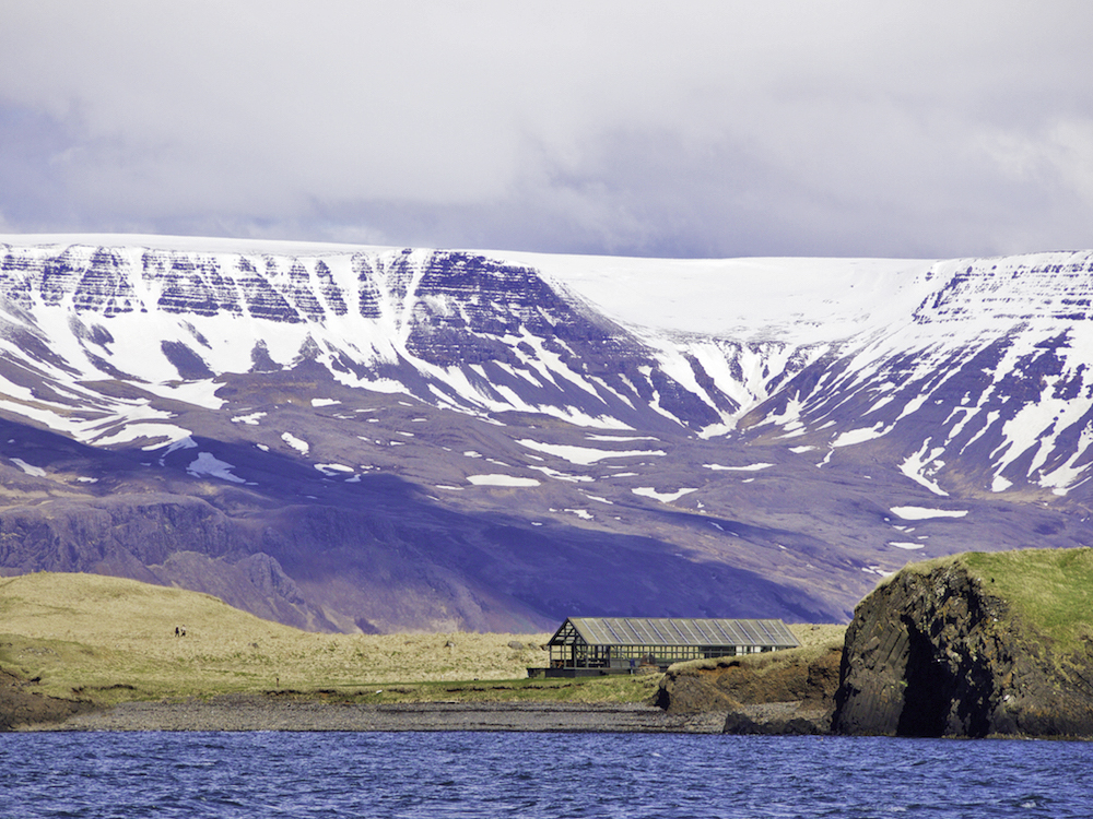 Videy Island Iceland, Reykjavik day trips