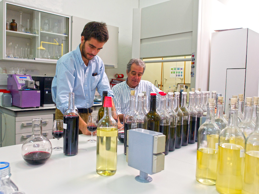 João Ramos viticulturalist, vineyards in Portugal