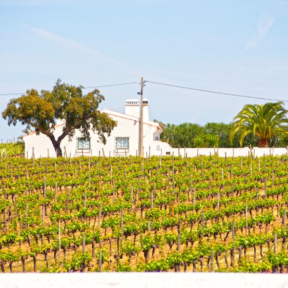 rural Portugal, visiting Portugal, driving through Portugal