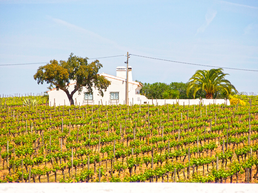 rural Portugal, visiting Portugal, driving through Portugal