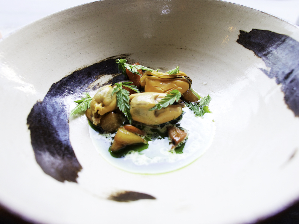 Smoked puffin breast and whale pepper steak: highlights of Reykjavik ...