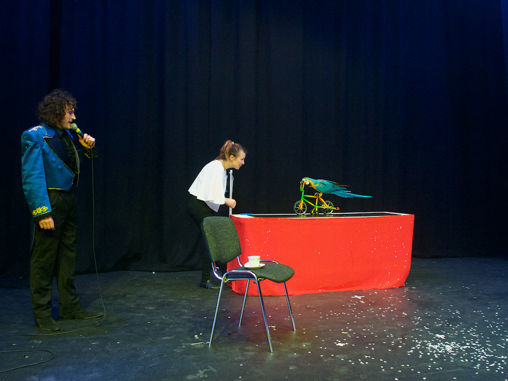 magic shows Ireland, Ed Masters magicians