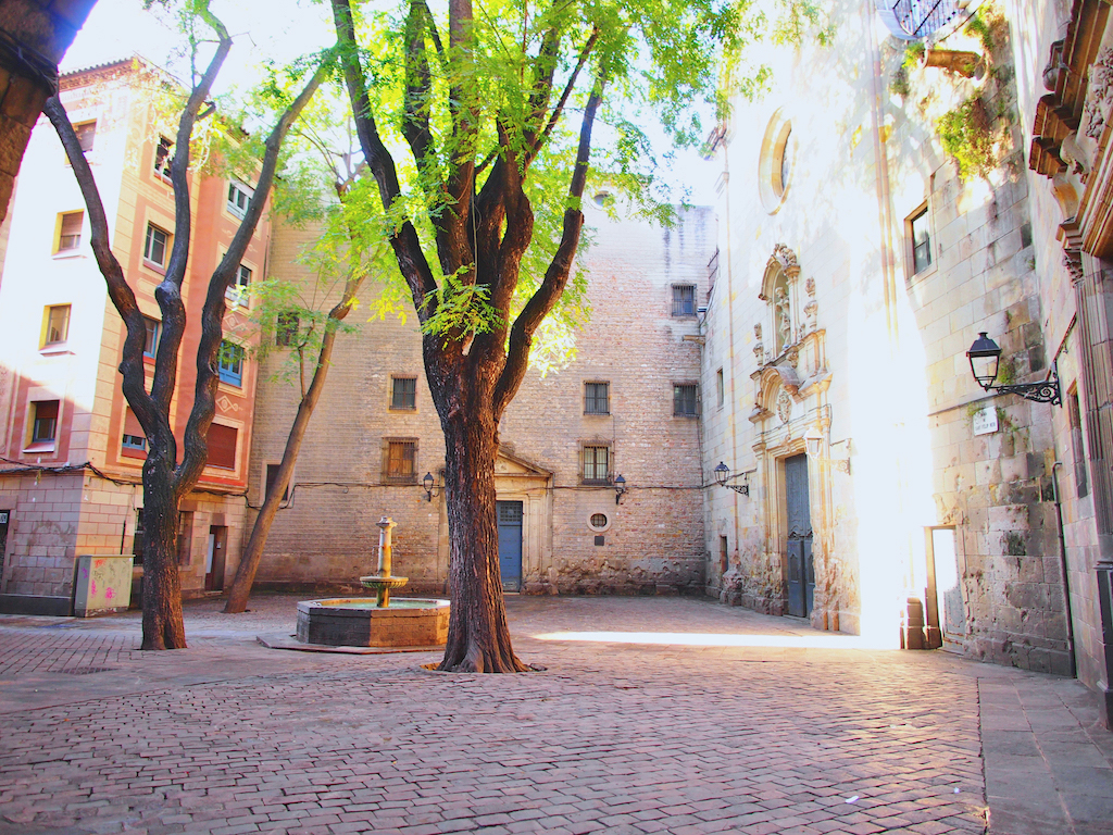 what to do in Barcelona, guide to Barcelona