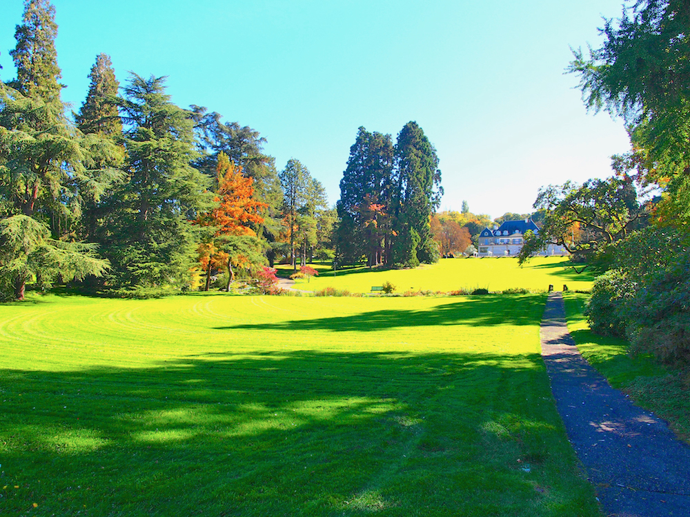 city vacation in Geneva, what to do in Geneva