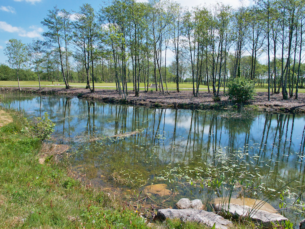 where to stay in Galway, Glenlo Abbey Hotel and Golf Course