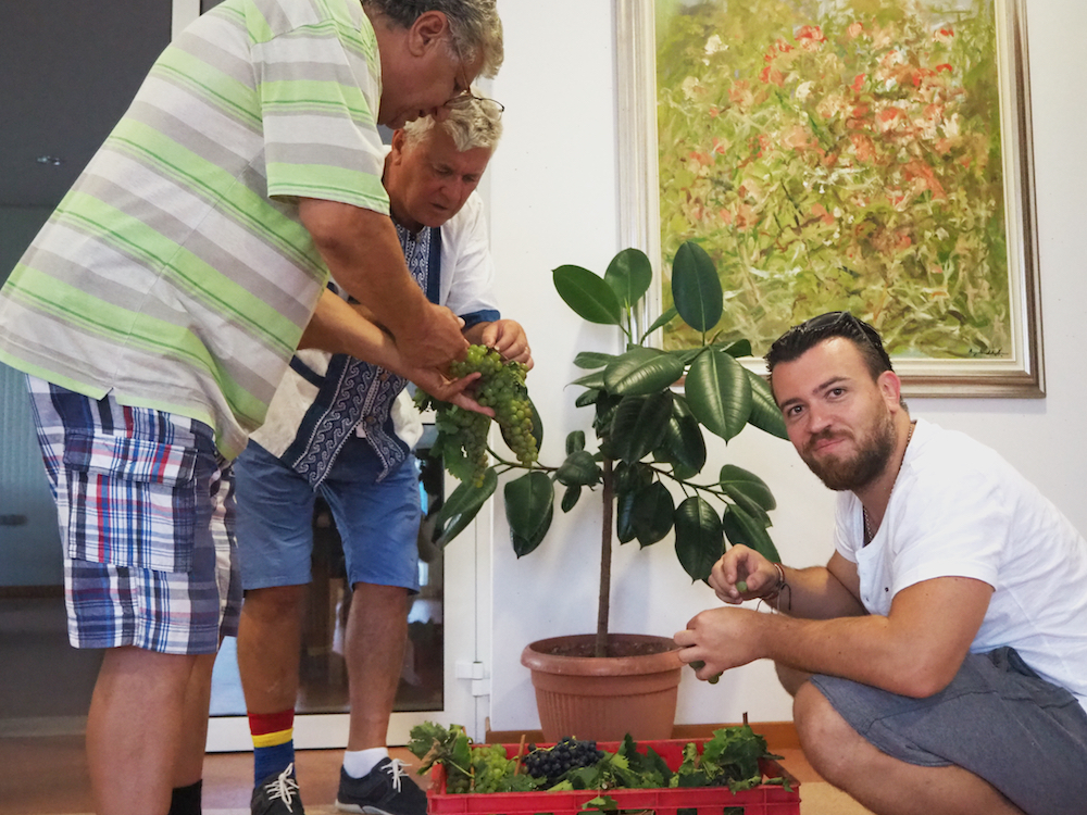 Costin Isarescu, Casa Isarescu, Romanian wine makers