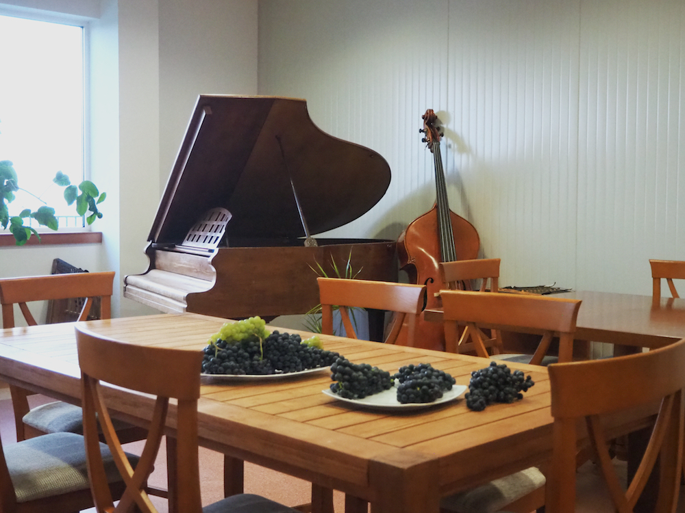 casa isarescu conac, wines in romania, wine making romania,