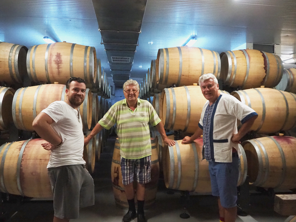 Costin Isarescu, Casa Isarescu, Transylvania Bois