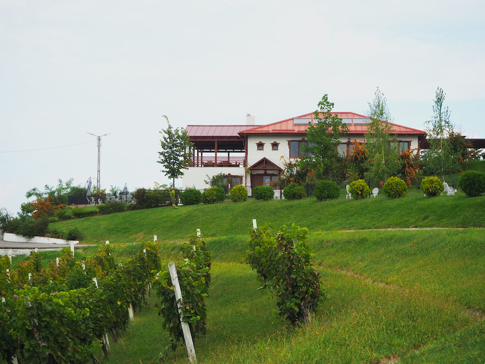 wine tasting in Romania, best Romanian wines, best Romanian wine makers