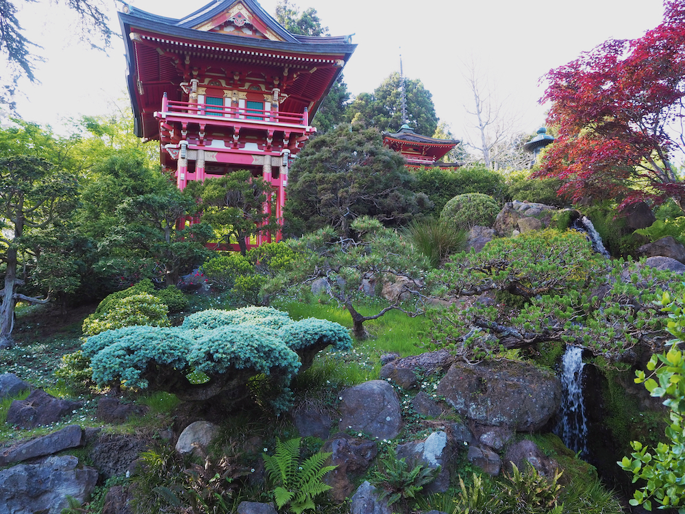 japanese gardens san francisco, best gardens in san francisco, golden gate park san francisco
