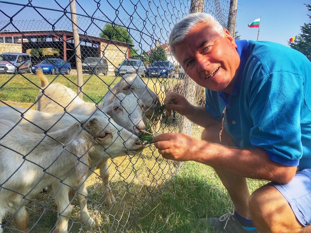 pet farm bulgaria, best luxury hotels in ruse bulgaria