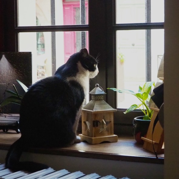 Hotel Pont Vieux, Carcassonne hotels, Carcassonne