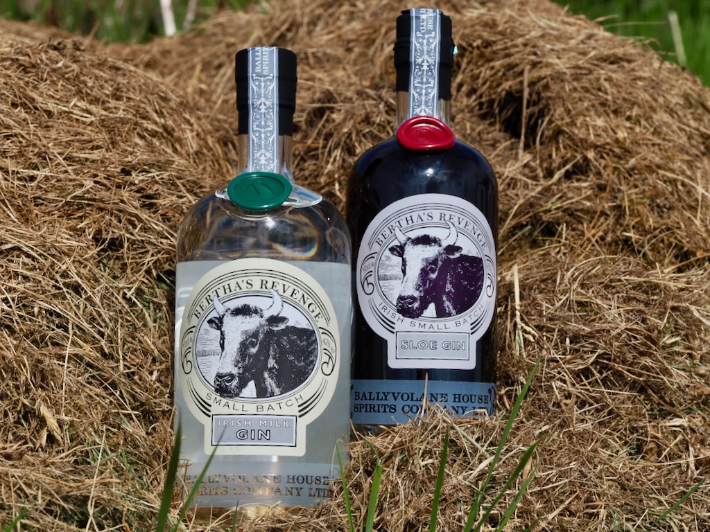 Bertha’s Revenge gin, best gins, world gin day