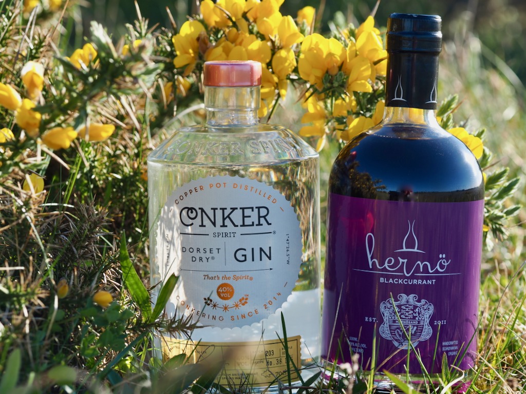 Dorset Dry Gin, Hernö Gin, World Gin Day, Best Gins