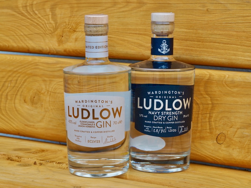 Wardington's Ludlow Gin, best gins, world gin day