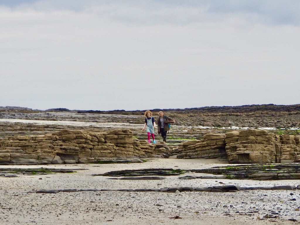 Seaweed Guru Hosts Walks and Cookery Classes in Western Ireland
